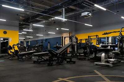 Just GYM Zielona Góra